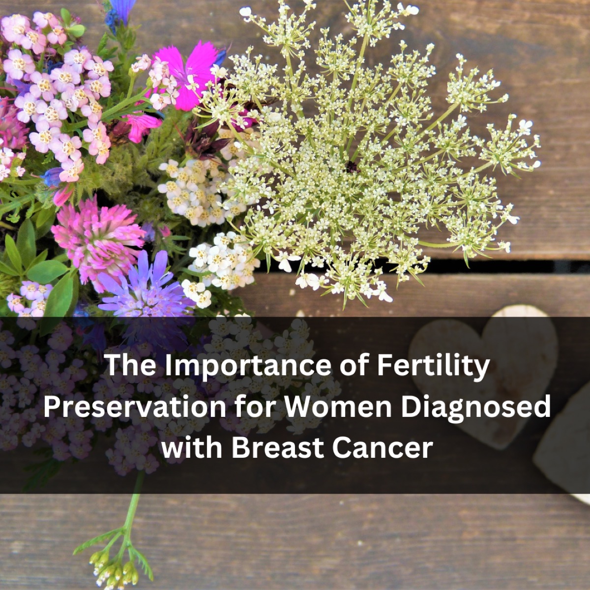 The Importance of Fertility Preservation for Women Diagnosed with Breast Cancer