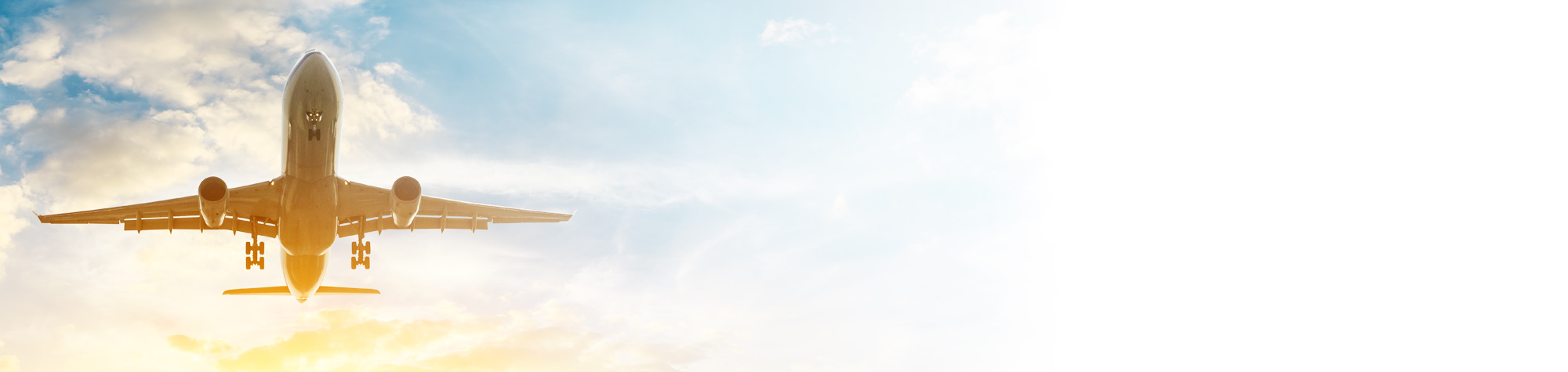 Hero Banner