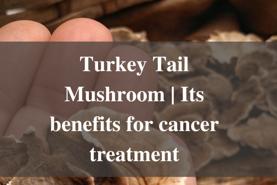 Turkey Tail Mushroom | Its benefits for cancer treatment