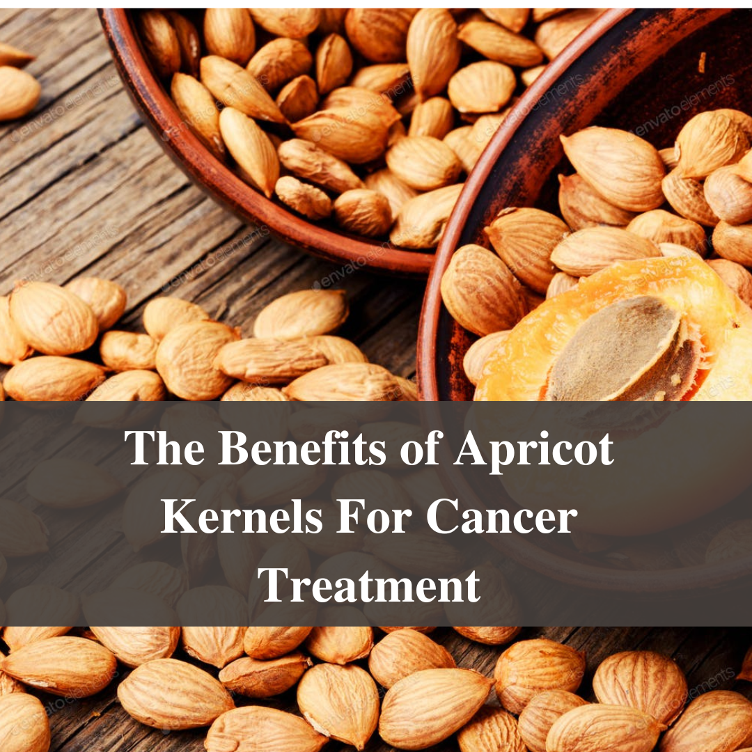 The Benefits of Apricot Kernels For Cancer Treatment